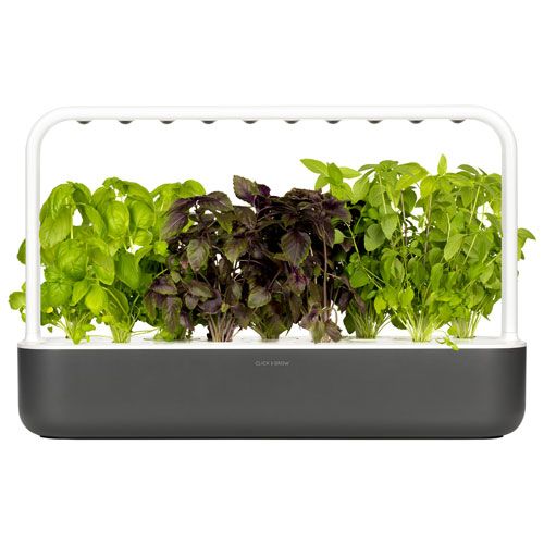 Click and Grow Smart Garden 9 Starter kit - Dark Gray