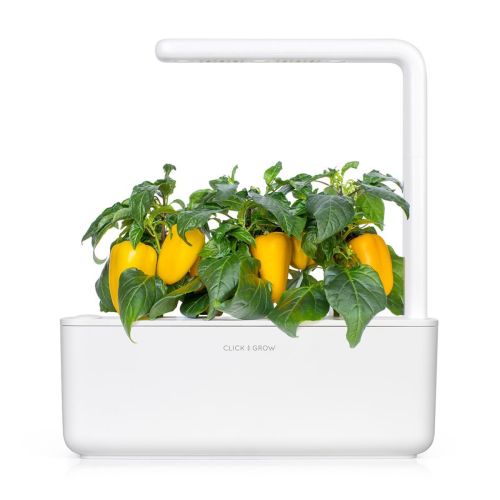Click and Grow Smart Garden Refill 3-pack - Yellow Sweet Peppers
