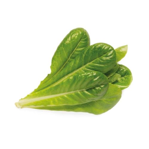Click and Grow Smart Garden Refill 3-pack - Romaine Lettuce