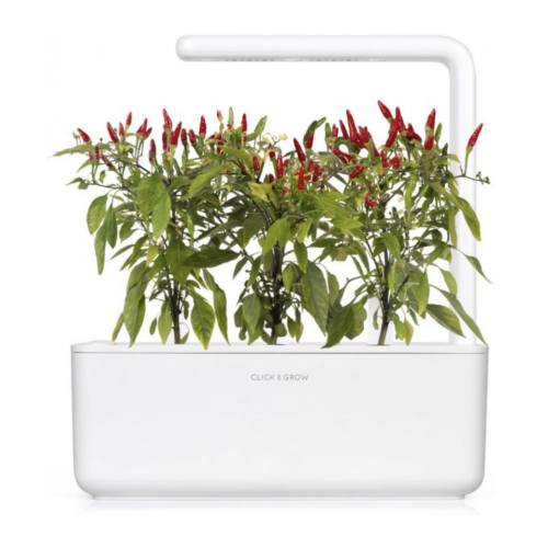 Click and Grow Smart Garden Refill 3-pack - Piri Piri