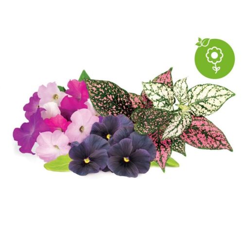 Click and Grow Smart Garden Refill 9-pack - Vibrant Flower Mix