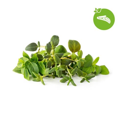 Click and Grow Smart Garden Refill 9-pack - Italian Herbs Mix