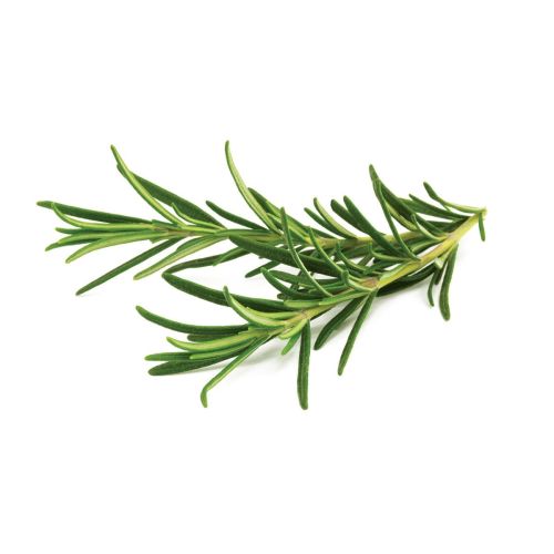 Click and Grow Smart Garden Refill 3-pack - Rosemary